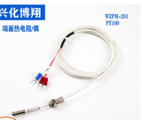 Dây cảm biến nhiệt WZPM-201 PT100 M8*0.75 1M
