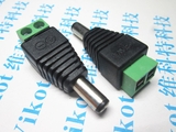 domino 2 sang jack 5.5 DC Đực