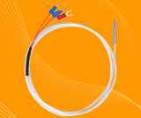 Cảm biến nhiệt độ PT100 dài 2m