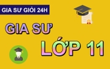 Gia sư lớp 11