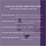DẦU HẠT NHO NGUYÊN CHẤT