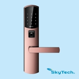 WL-W2R Khóa cửa thông minh WL-W2R