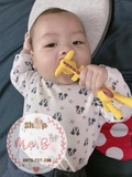 Gặm nướu hươu  Edison Mama