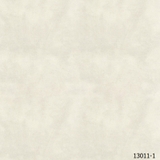 13011-1.png