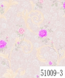51009-3.jpg