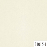 51015-1.jpg