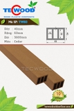 TW 40 x 60
