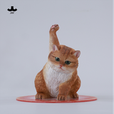 JXK-Super Cat-D