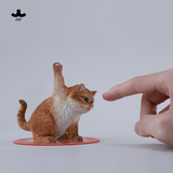 JXK-Super Cat-D