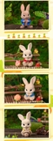 Peter Rabbit X Vegetable Fairy Blind Box Series