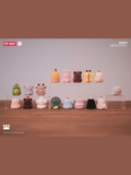 Pucky Animal Beanie Blind Box Series