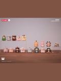 Pucky Animal Beanie Blind Box Series