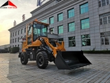 Máy xúc lật LAIGONG 916