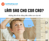 CAO LỚN