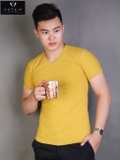 ÁO CỔ TIM ROLL7