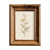 Khung cổ điển CĐ2 gỗ thông viền cong 3cm kiếng 10x15cm để bàn