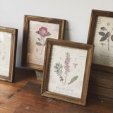Bộ 3 Khung gỗ cổ điển 2cm 20x25cm để bàn | Tặng kèm tranh in Floral