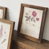 Bộ 3 Khung gỗ cổ điển 2cm 15x20cm để bàn | Tặng kèm tranh in Floral