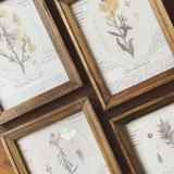 Bộ 3 Khung gỗ cổ điển 2cm 15x20cm để bàn | Tặng kèm tranh in Floral