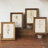 Bộ 3 Khung gỗ cổ điển 2cm 15x20cm để bàn | Tặng kèm tranh in Floral