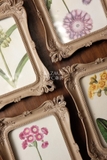 Khung composite màu ngà chạm khắc họa tiết Vintage 18*23 (tranh 13*17.5)