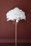 Cành hoa tú cầu sấy khô nguyên cành 65cm - Trắng tinh khôi