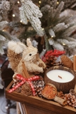 .Set khay nến gáo dừa sóc Squirrel Forest | 20x25cm