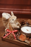 .Set khay nến gáo dừa sóc Squirrel Forest | 20x25cm