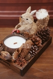 .Set khay nến gáo dừa sóc Squirrel Forest | 20x25cm