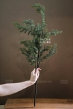 .Cành thông phủ sương Dewy 45/80cm - Cành cắm trang trí đẹp tự nhiên