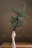.Cành thông phủ sương Dewy 45/80cm - Cành cắm trang trí đẹp tự nhiên