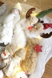 Phụ kiện treo thú bông xinh xắn - Nai ngây thơ 30cm