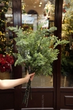 .Cành thông phủ sương Dewy 45/80cm - Cành cắm trang trí đẹp tự nhiên