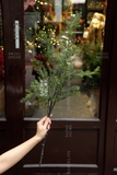 .Cành thông phủ sương Dewy 45/80cm - Cành cắm trang trí đẹp tự nhiên