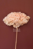 Cành hoa tú cầu sấy khô nguyên cành 65cm - Hồng cam