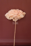 Cành hoa tú cầu sấy khô nguyên cành 65cm - Hồng cam