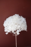 Cành hoa tú cầu sấy khô nguyên cành 65cm - Trắng tinh khôi
