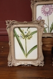 Khung composite màu ngà chạm khắc họa tiết Vintage 18*23 (tranh 13*17.5)