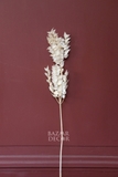 Bó lá chanh ý sấy khô màu trắng kem 70cm - 50gr