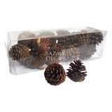 Hộp quả thông khô nhí 3-6cm