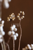 Bó hoa khô bạch quả nhỏ - 70g