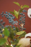 Bình cắm sóc & cành blueberry bông gòn | Tặng kèm dây đèn & nơ