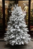 .Cây thông tuyết PE lá rủ tự nhiên - 150cm 180cm 210cm 240cm
