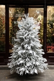 .Cây thông tuyết PE lá rủ tự nhiên - 150cm 180cm 210cm 240cm