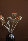 Bó hoa khô cúc dứa màu đỏ cam 100gr - 60cm