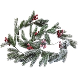 Dây thông tuyết PE