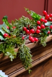 Dây thông xanh lá thông mềm Holly Redberry 180cm
