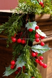 Dây thông xanh lá thông mềm Holly Redberry 180cm