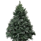 Cây thông xanh PE Grand tán rộng [Đặt trước 1-2 ngày] 150cm 180cm 210cm 240cm 300cm 360cm