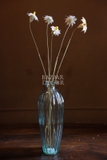 Bó hoa khô cúc .ngọc lan tây 60cm - 10 cành